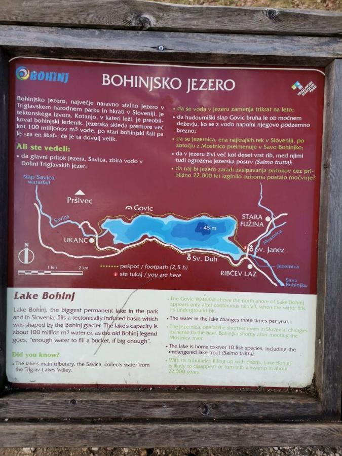 Remarkable Home Bohinj Lake ภายนอก รูปภาพ