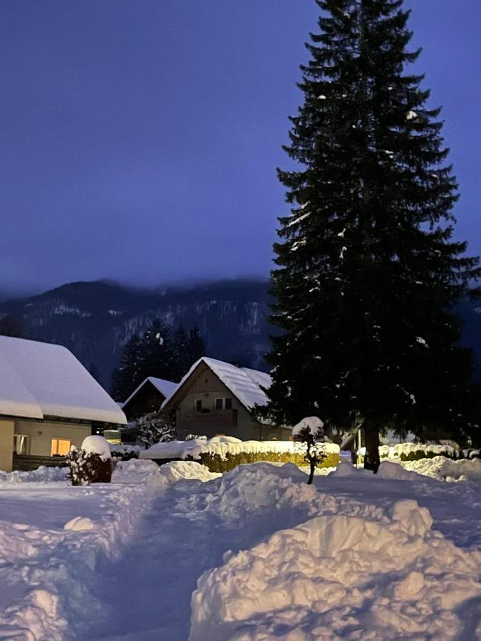 Remarkable Home Bohinj Lake ภายนอก รูปภาพ