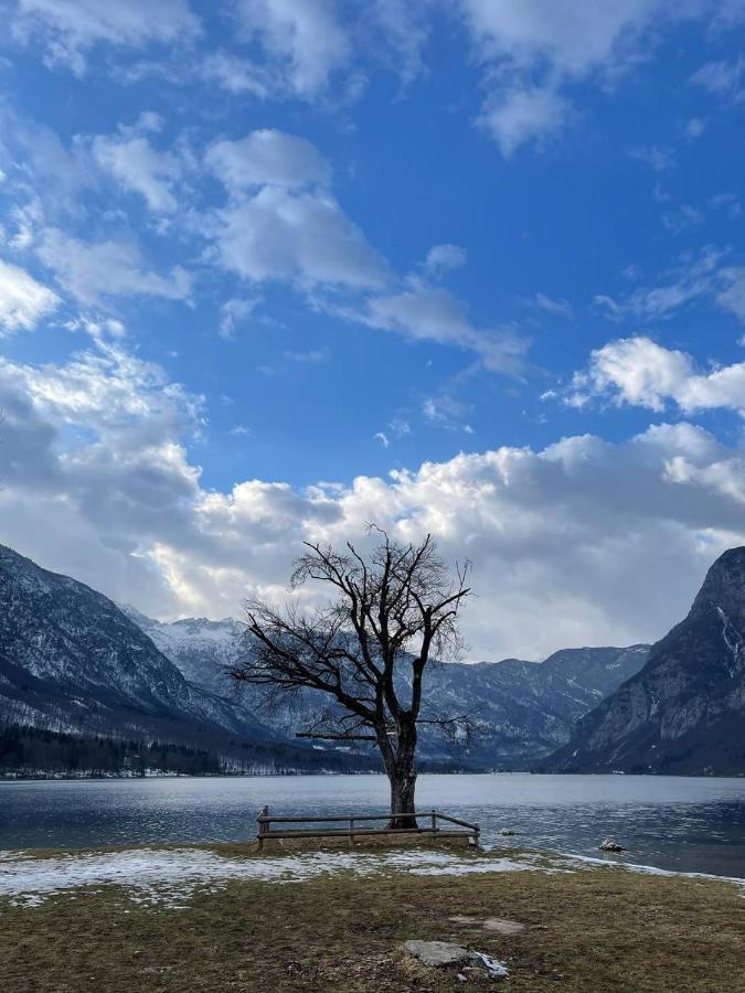 Remarkable Home Bohinj Lake ภายนอก รูปภาพ